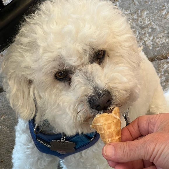 Meet your Posher, Kristy - Picture 4 of 14